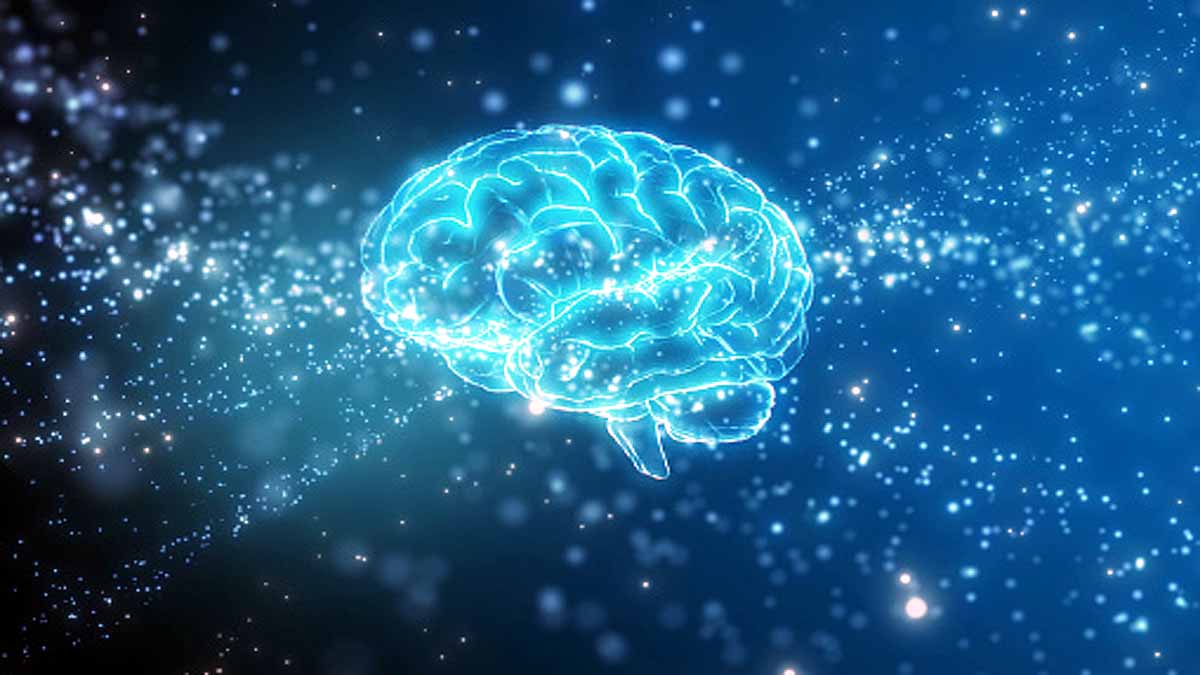 Google Mapped Human Brain