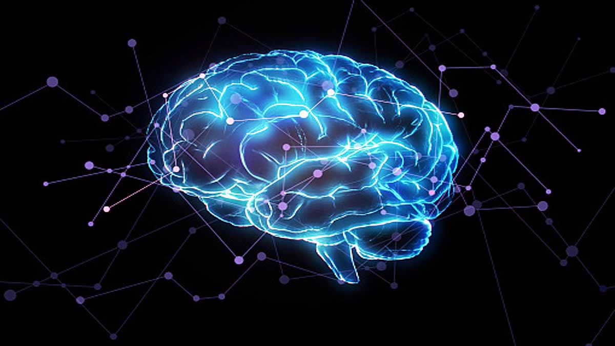 Google Mapped Human Brain