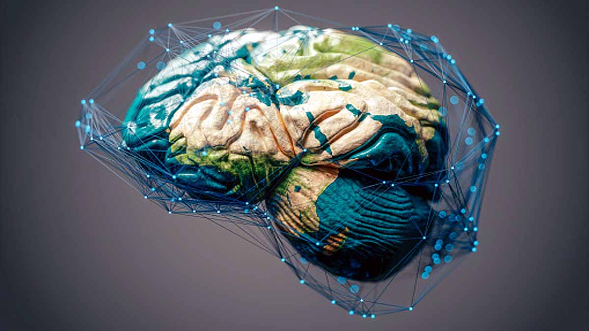 Google Mapped Human Brain