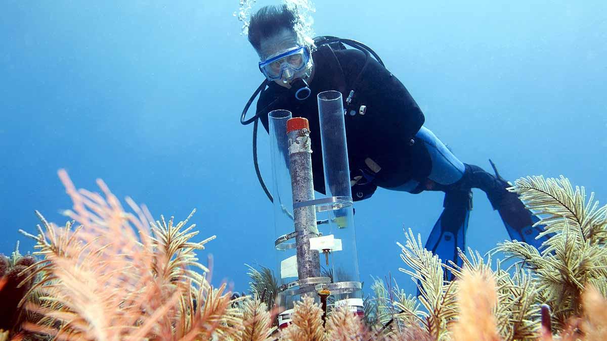 India's Deep Ocean Mission 