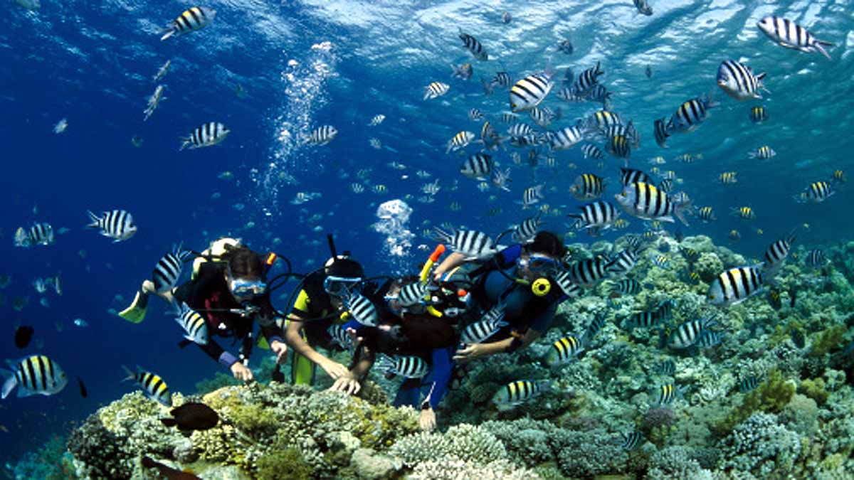 India's Blue Economy