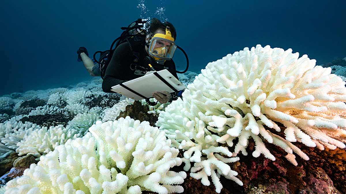 India's Blue Economy