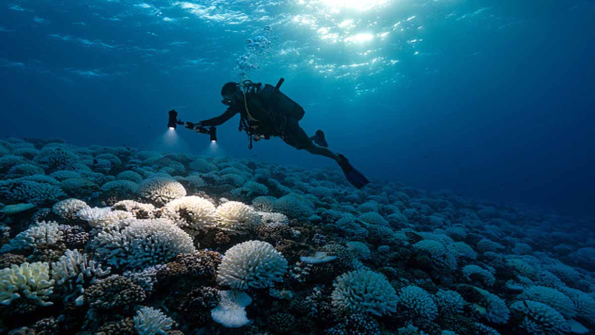 India's Deep Ocean Mission 