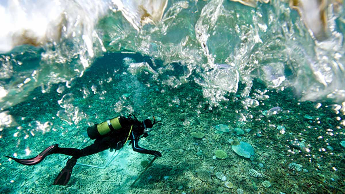 India's Blue Economy