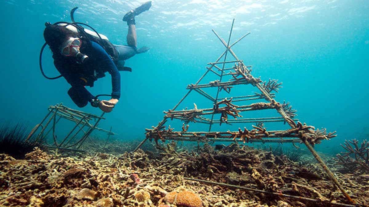 India's Blue Economy 