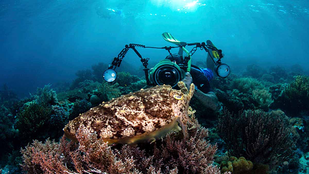 India's Deep Ocean Mission 