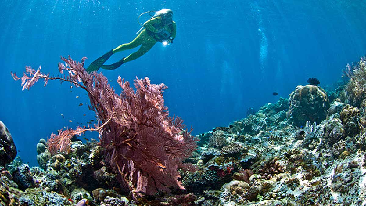 India's Blue Economy