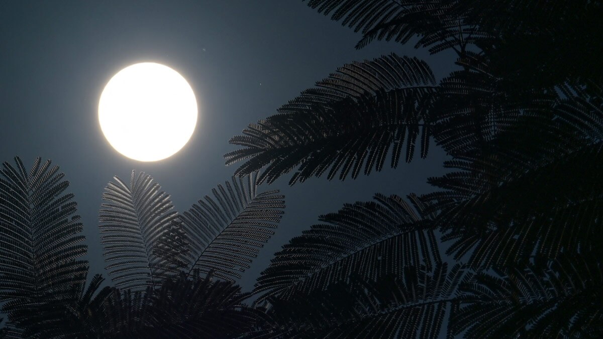 इंडोनेशिया