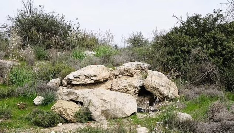 new camouflage sheet