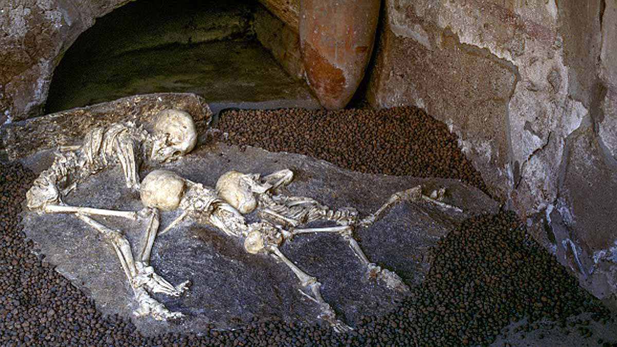 Unknown Mysterious Ancestor