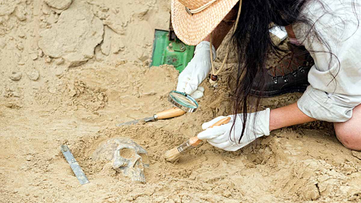 Unknown Mysterious Ancestor