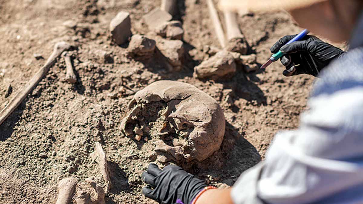 Unknown Mysterious Ancestor