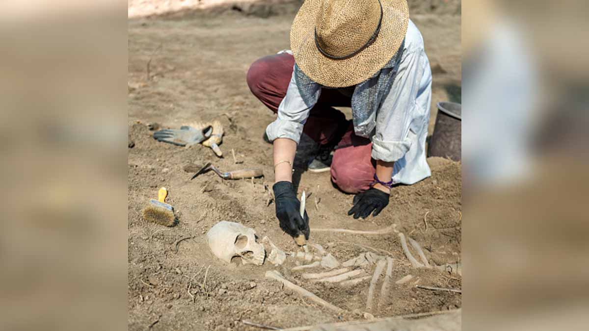 Unknown Mysterious Ancestor