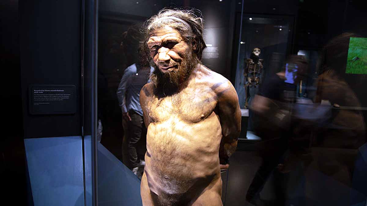 Unknown Mysterious Ancestor