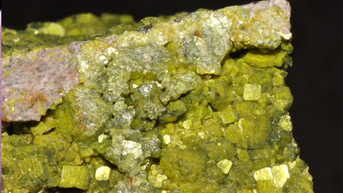 uranium smuggling racket busted