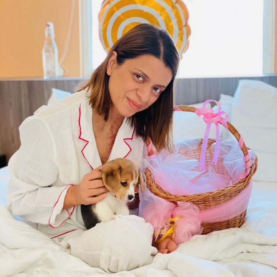 कंगना रनौत