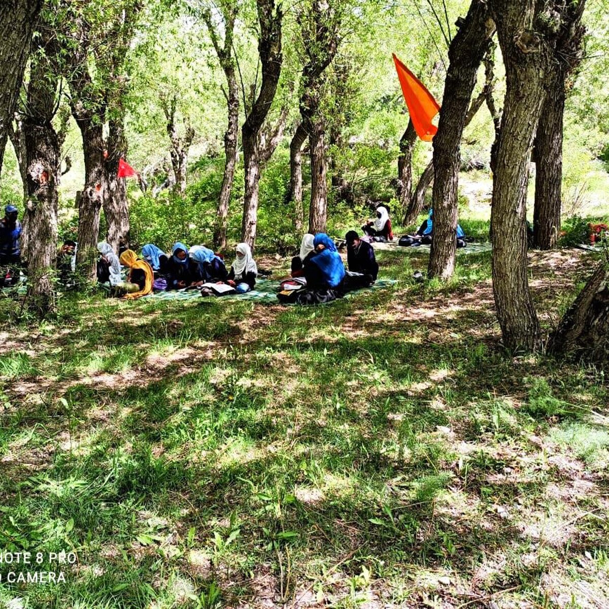 Education in Lockdown