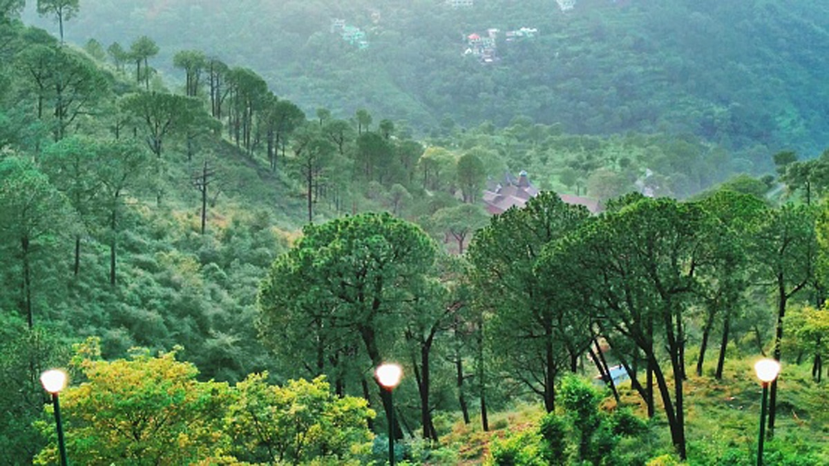 ई-पास की जरूरत नहीं