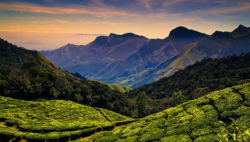 कोडाइकनाल, तमिलनाडु