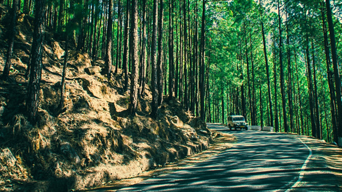 ई-पास की जरूरत नहीं