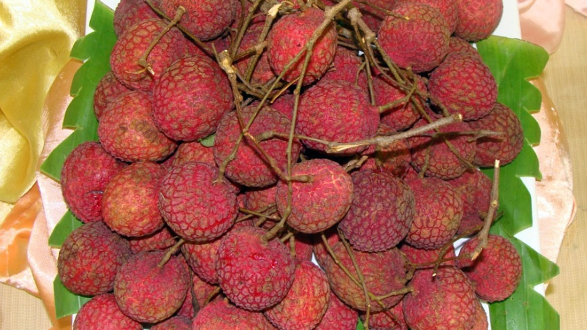 बॉडी को हाइड्रेट करता है