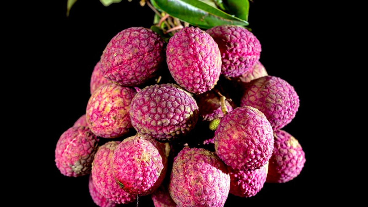 लिवर को ठीक करता है