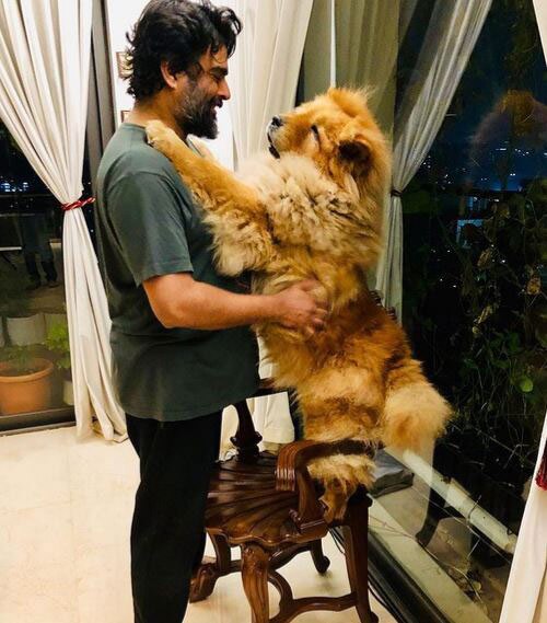 आर माधवन