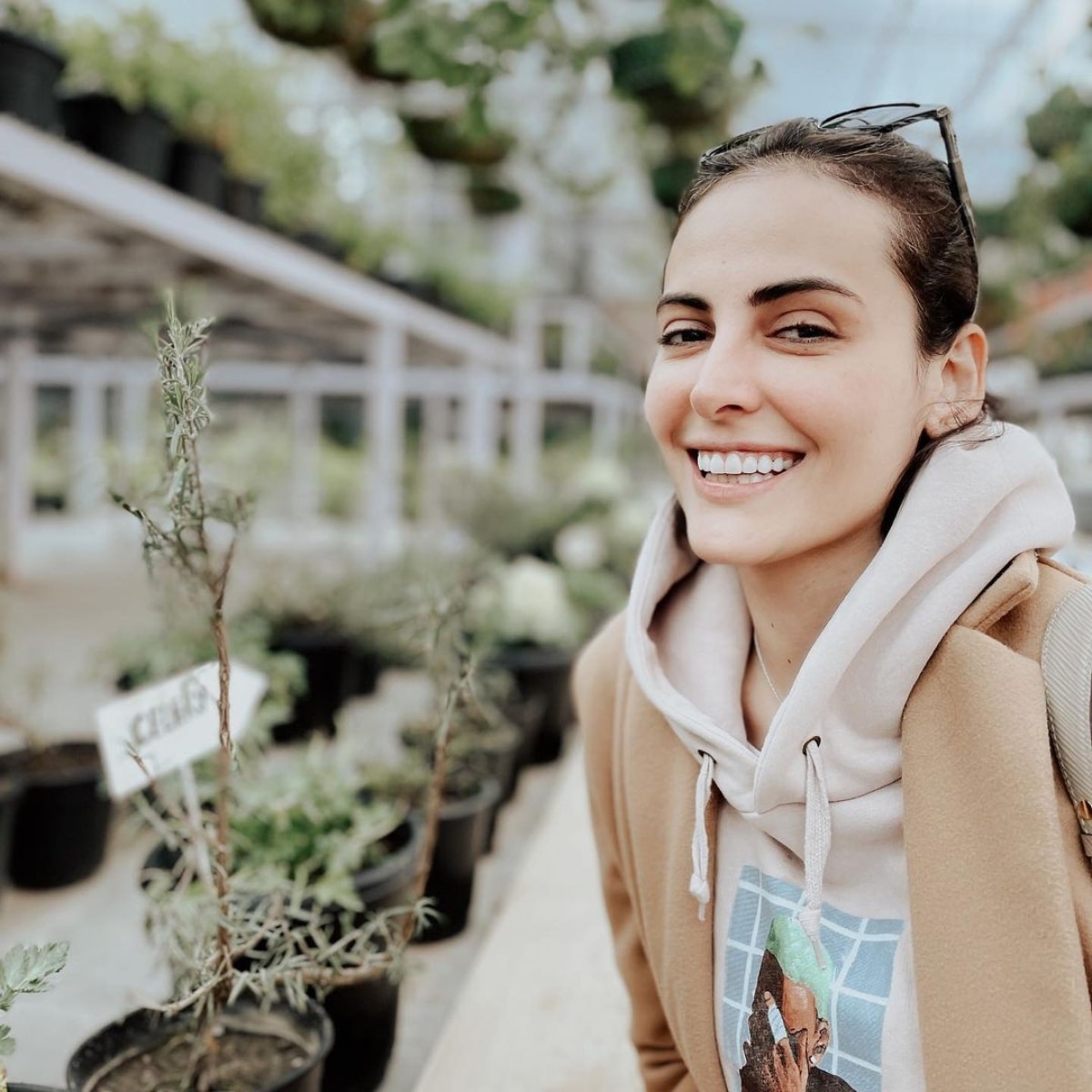 मंदाना करीमी