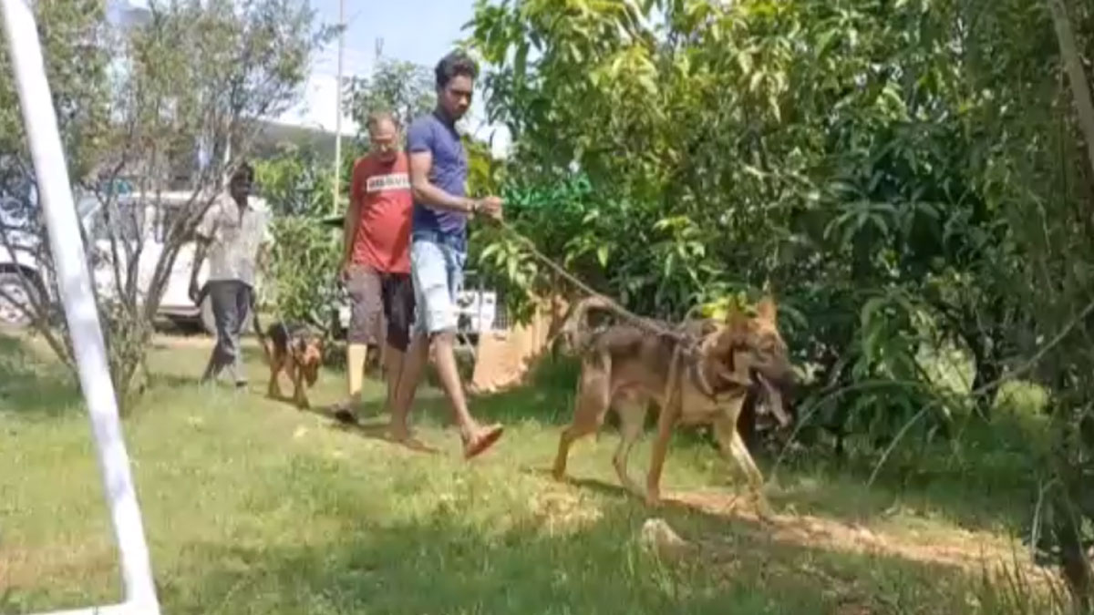 3 Guards, 9 Dogs to protect world's costliest mango 