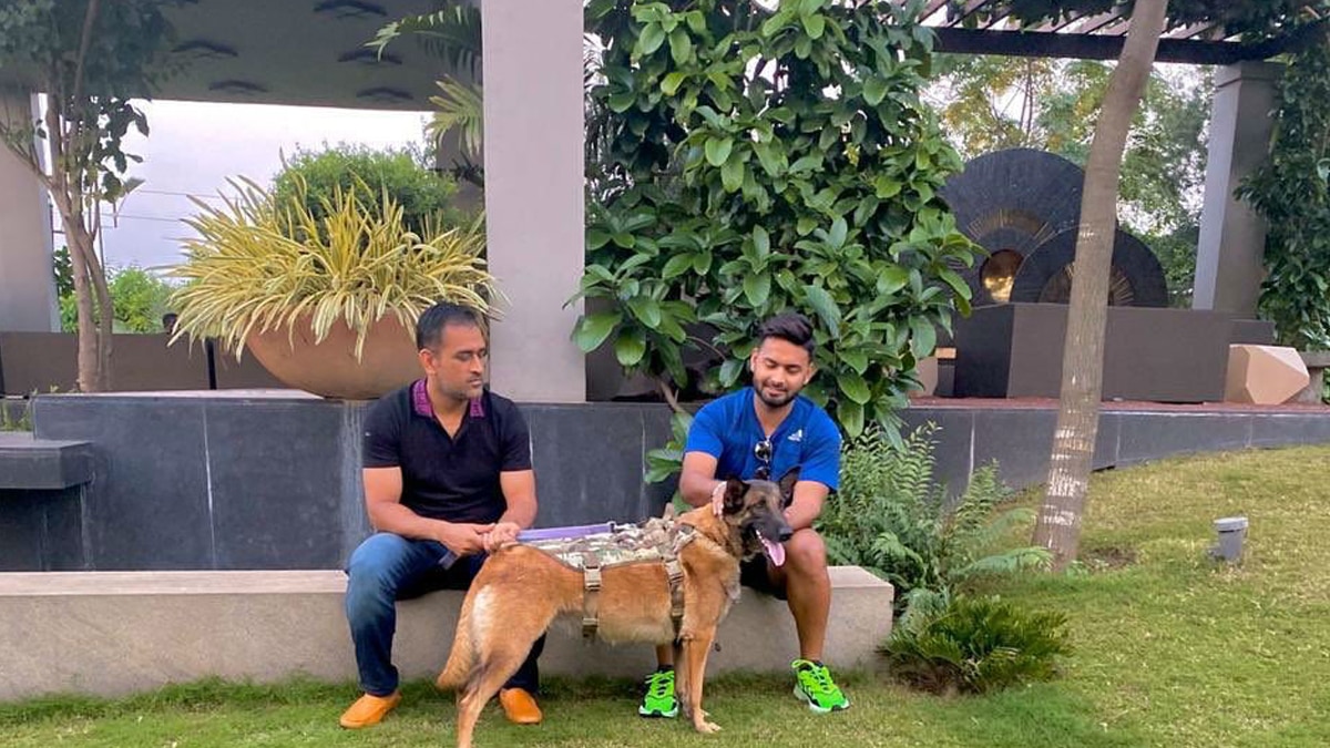ms dhoni and rishabh pant 