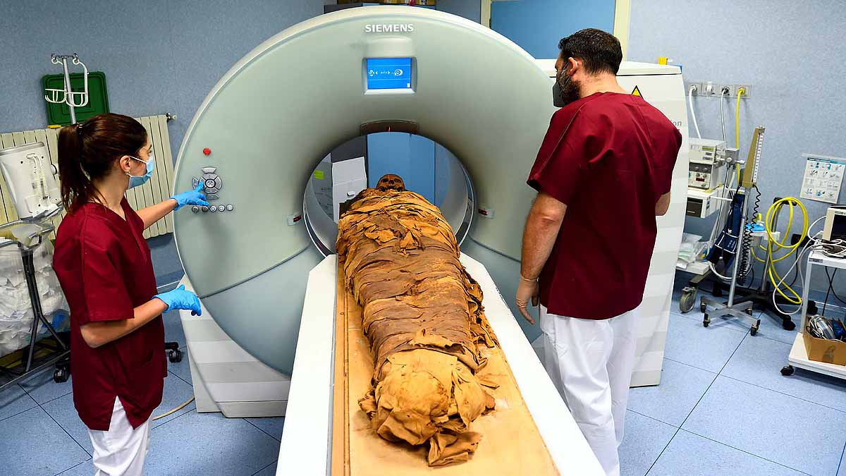 Eygptian Mummy CT Scan