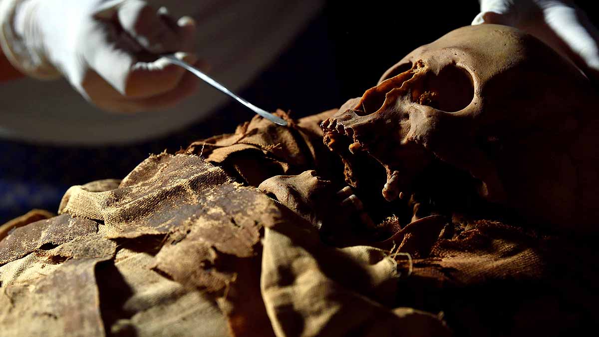 Eygptian Mummy CT Scan