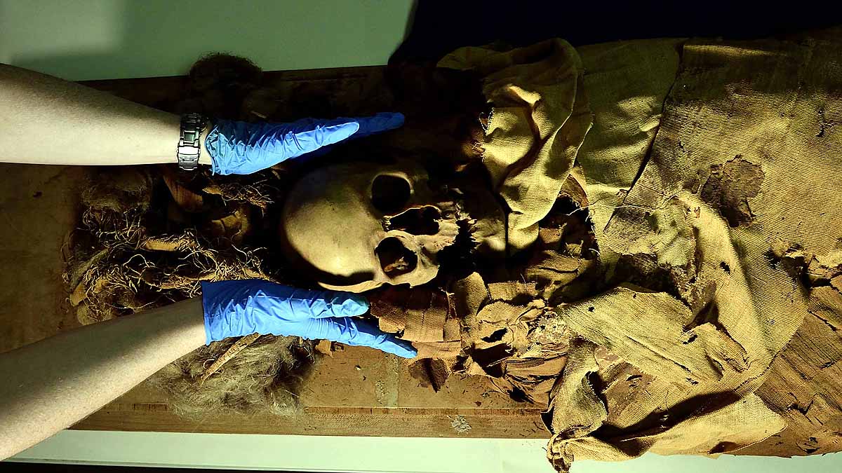 Eygptian Mummy CT Scan