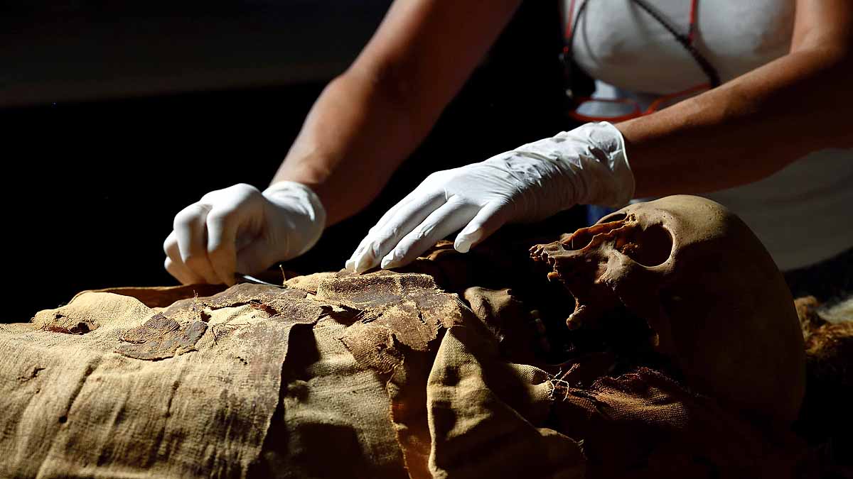 Eygptian Mummy CT Scan