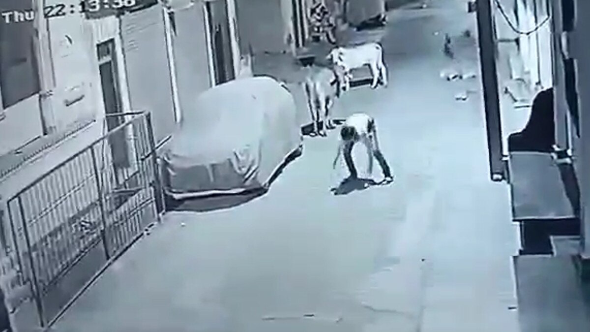 Live murder caught in CCTV 