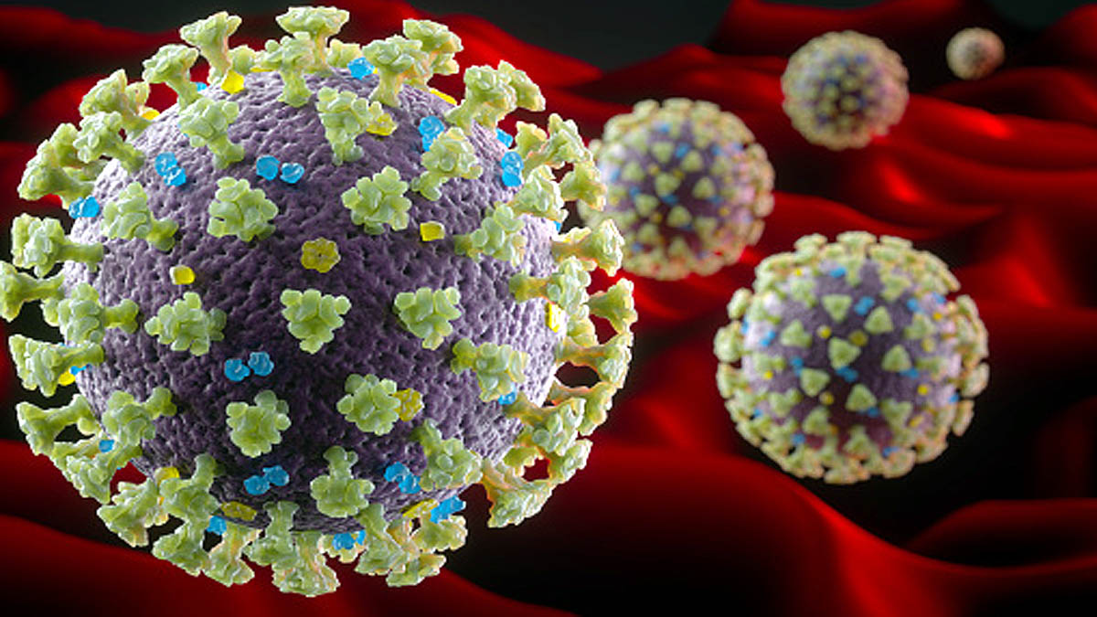 New Coronavirus Hot spots 