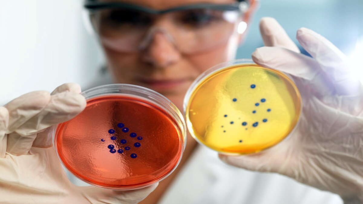 Antibiotic resistance Pandemic