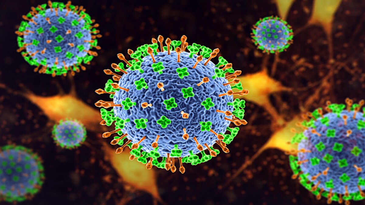 Nipah Virus Mahabaleshwar