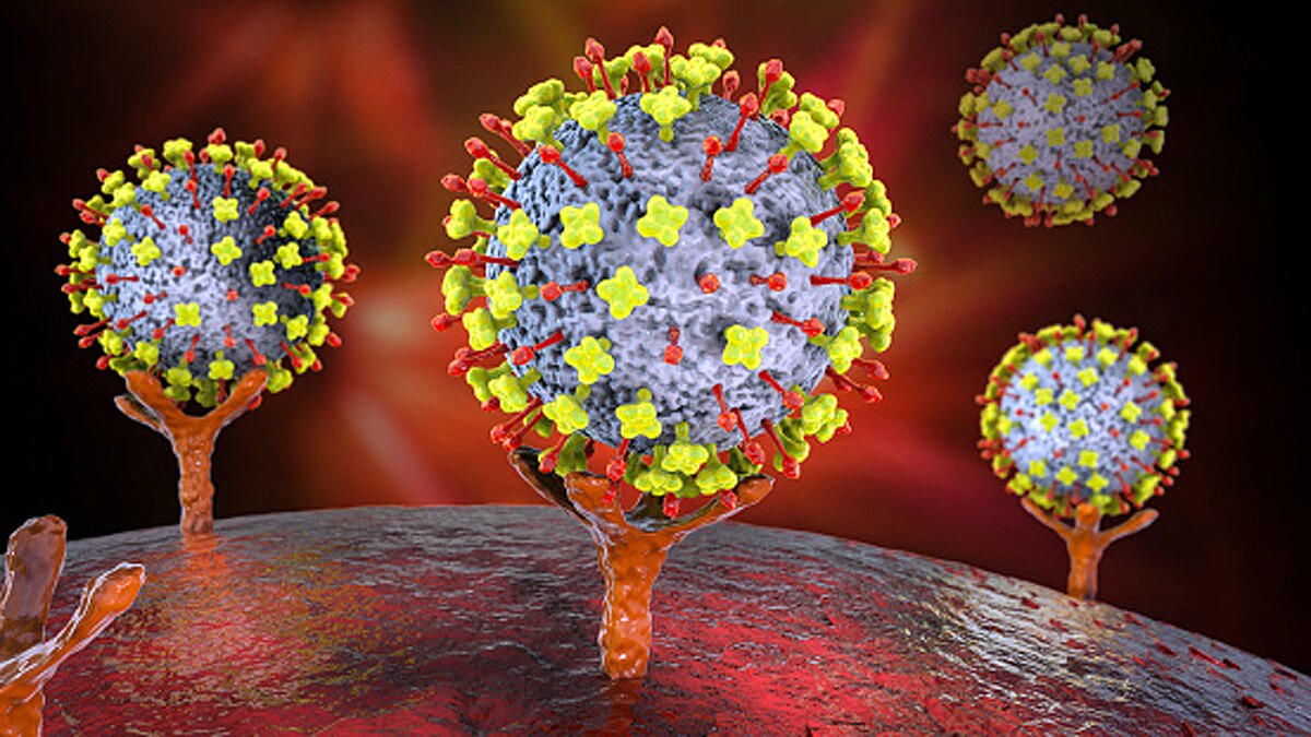 Nipah Virus Mahabaleshwar