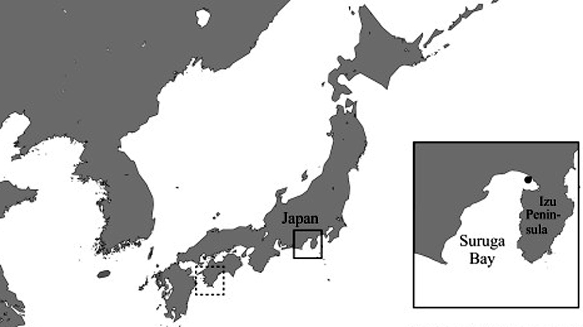 Extinct Living Fossil found