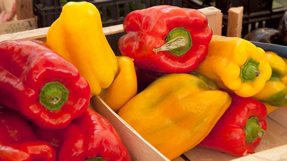 शिमला मिर्च