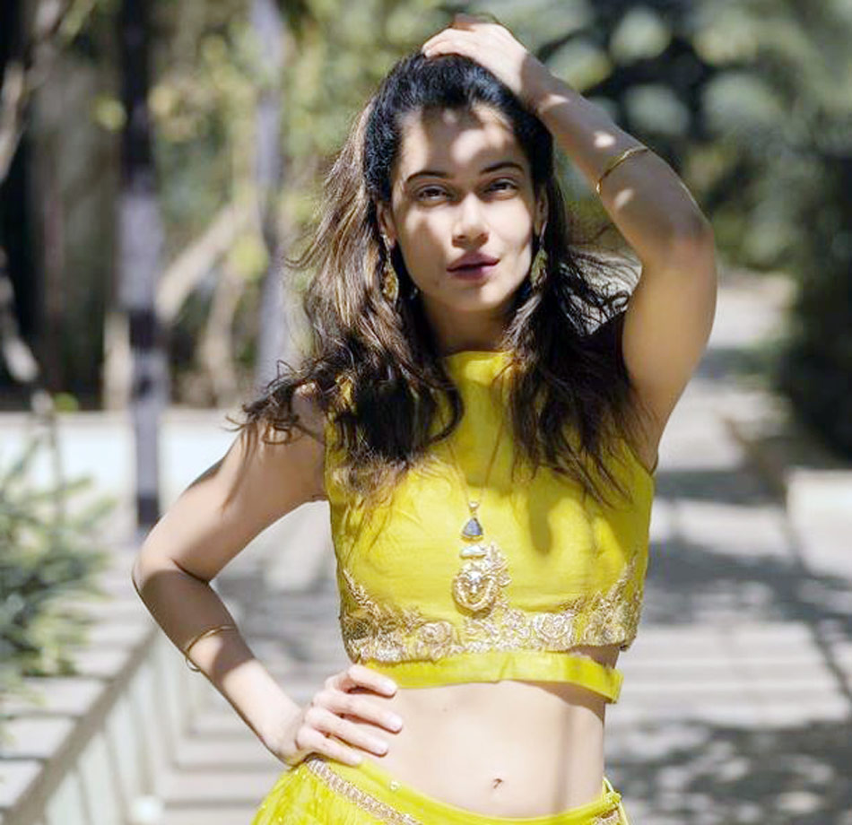 पायल रोहतगी