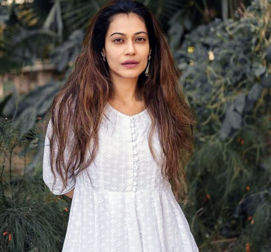 पायल रोहतगी