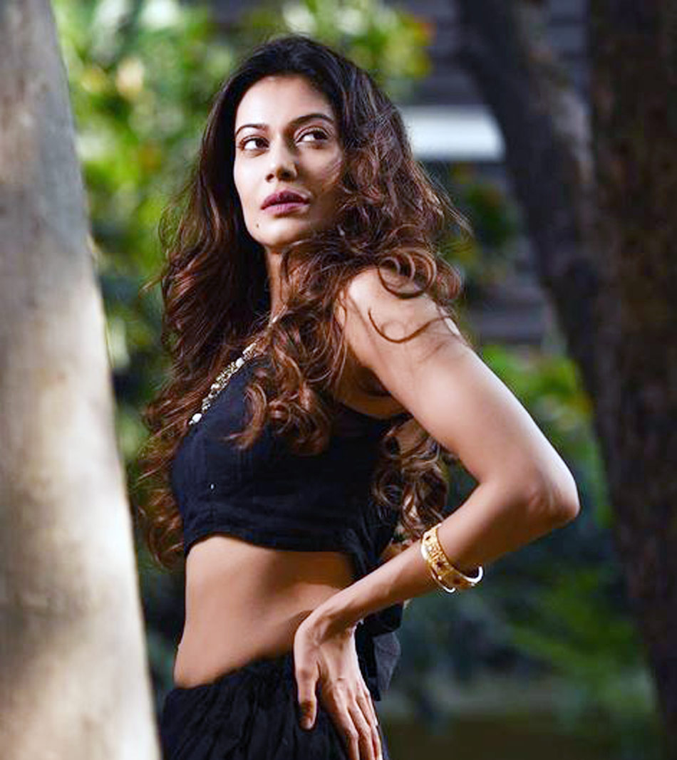 पायल रोहतगी