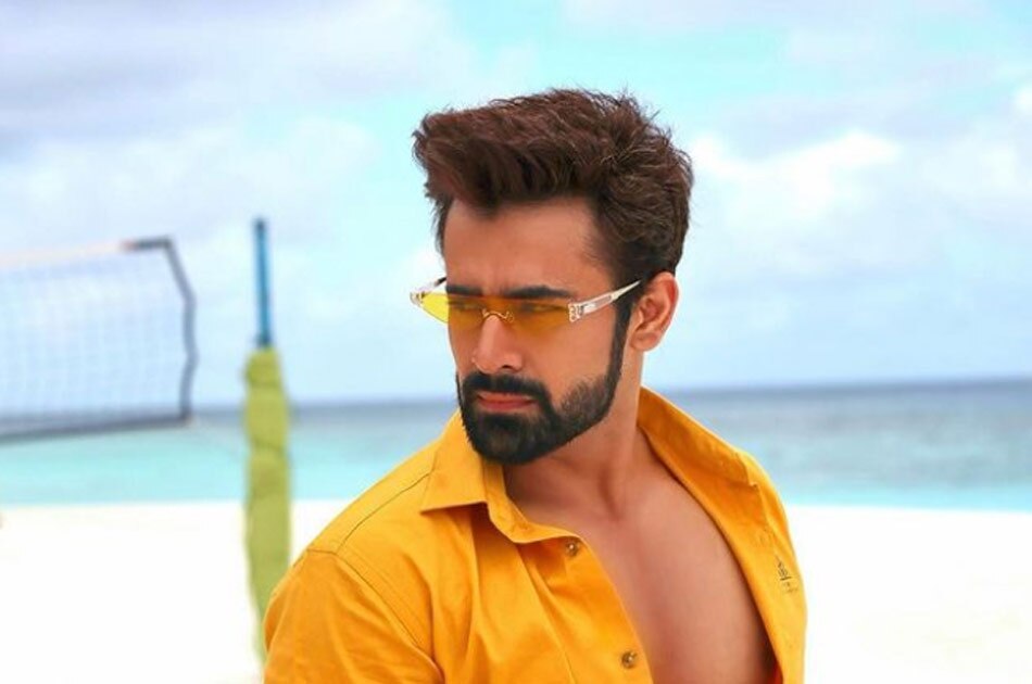 पर्ल वी पुरी 