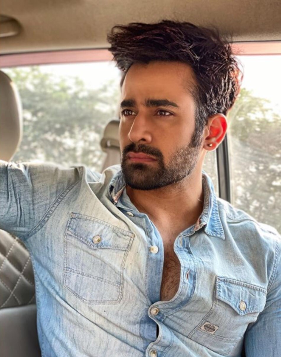 पर्ल वी पुरी 