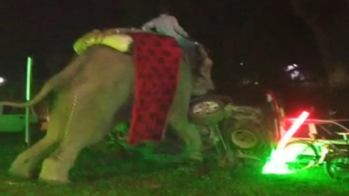 हाथी का उत्पात