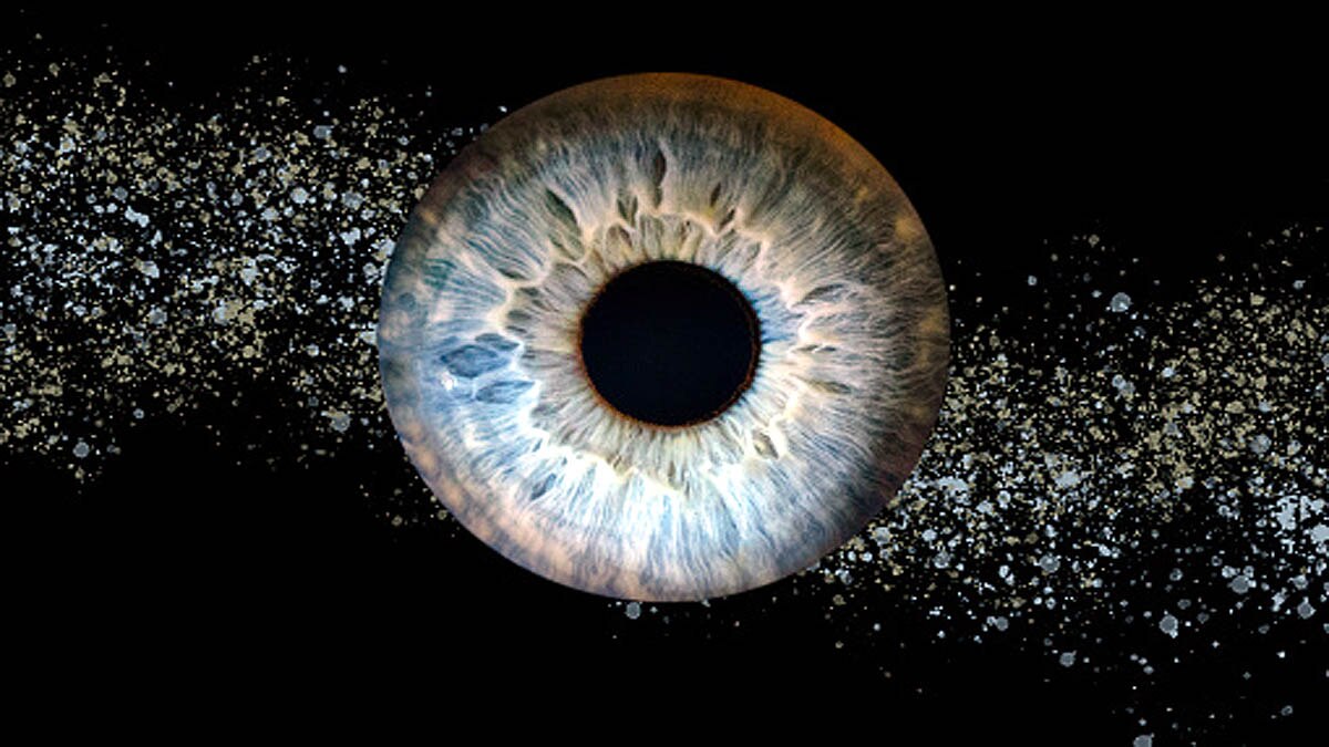 Pupil Size Tells Intelligence