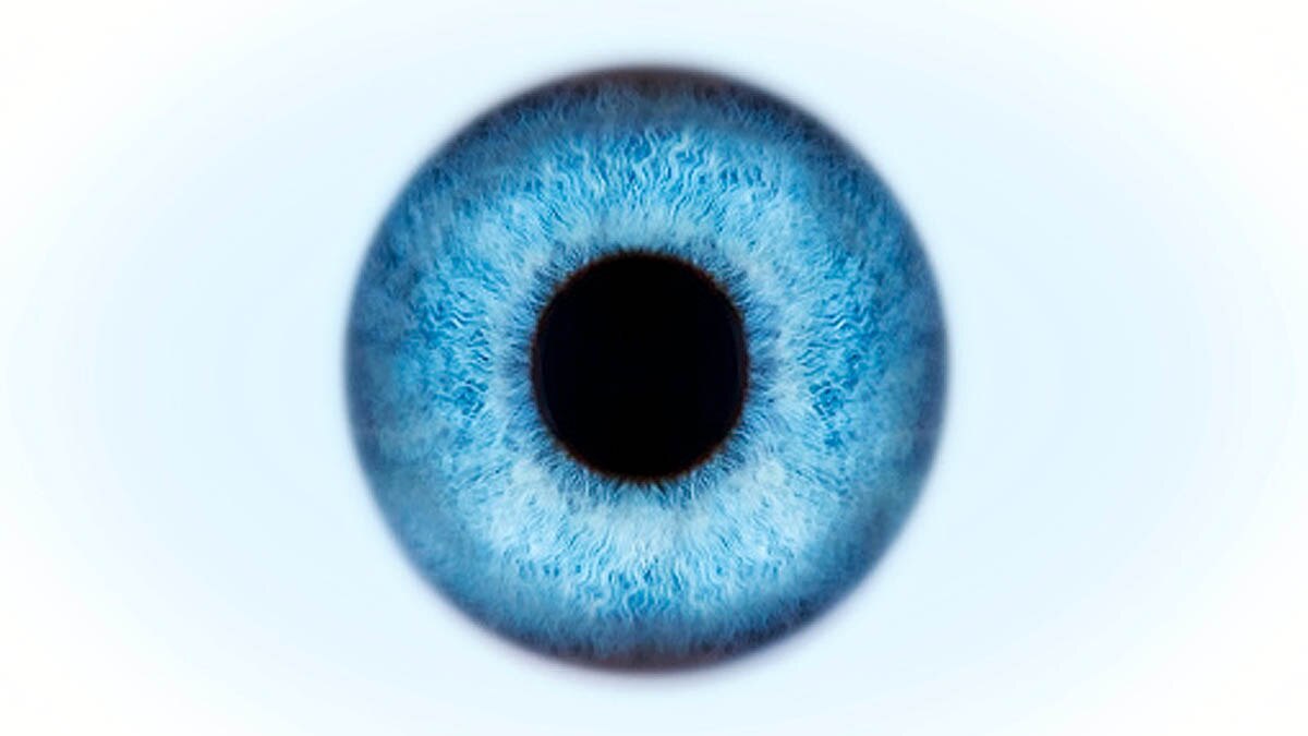 Pupil Size Tells Intelligence