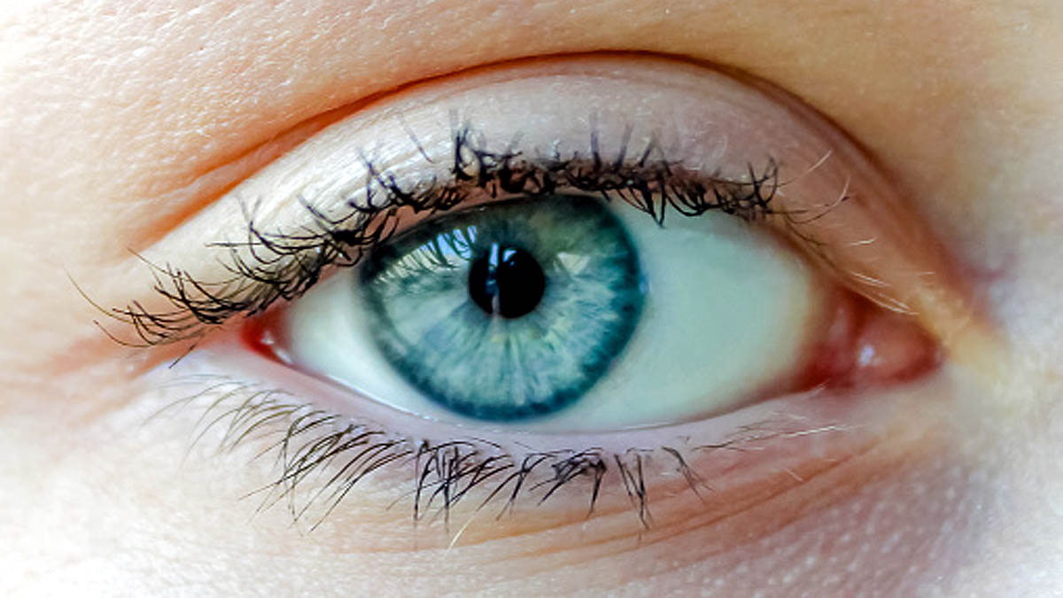 Pupil Size Tells Intelligence